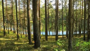 Фото номера Шале с двумя спальнями Загородные дома Sodyba Trakuose - Natura 2000 г. Antakalnis 6